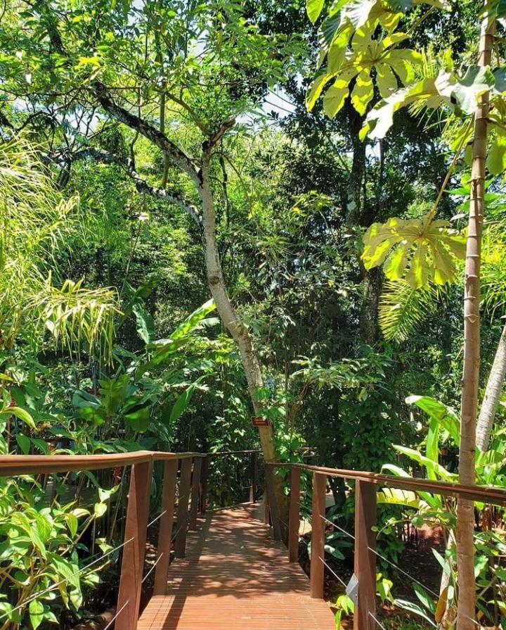 Selva De Laurel Hotel Puerto Iguazu Exterior photo